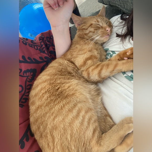 We’re live with table lots! (Want shipped ASAP? Please let me know!!) - Picture 2 of 4